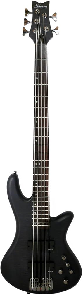 Amazon.co.jp: SCHECTER STILETTO STUDIO 5 [AD-SL-ST5] 5-String